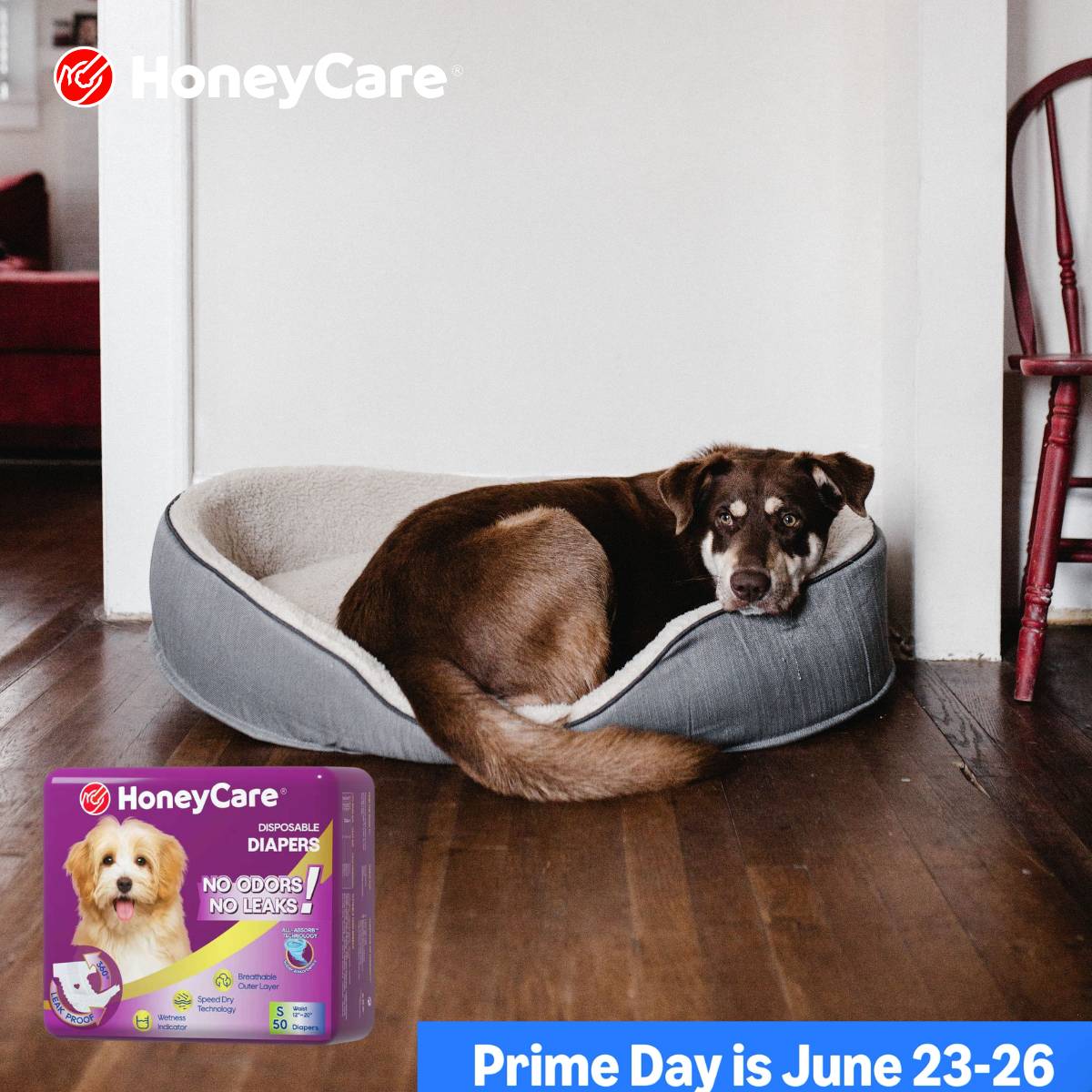 Male Dog Wraps vs Diapers: Essential Fit Guide