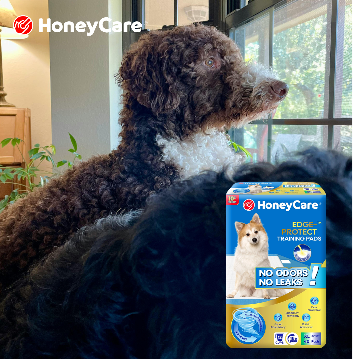 XL Dog Pee Pads: Brilliant Fixes to Stop Terrible Leaks