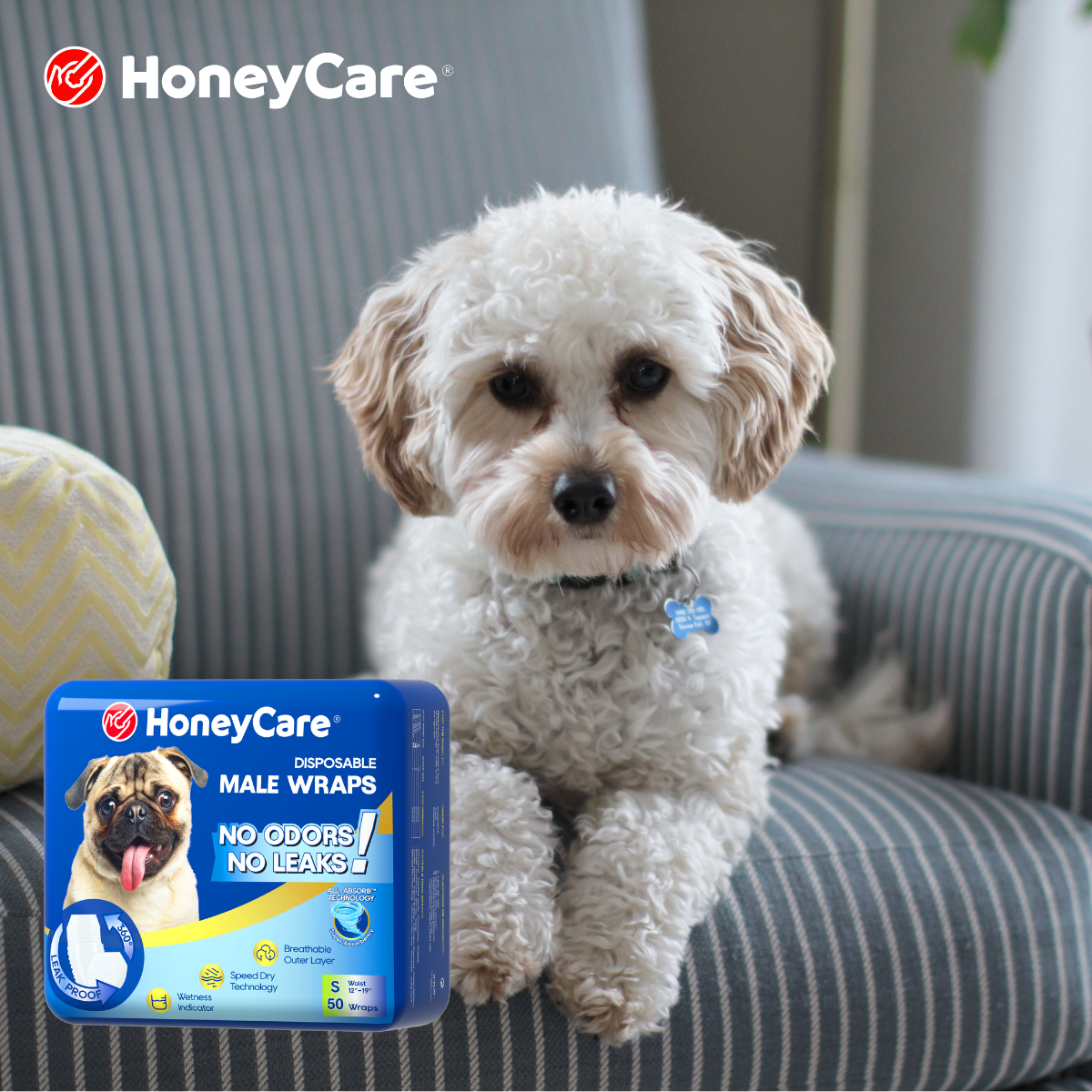 How to Put a Diaper on a Dog Who Hates It (Step-by-Step)