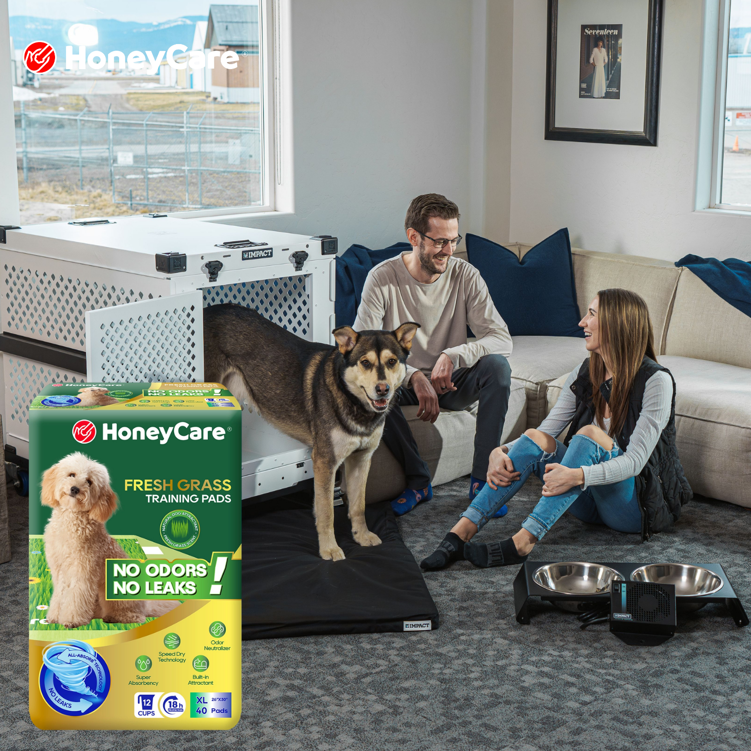Rescue Dog Pee Pad Training: Shocking Fixes for Messes