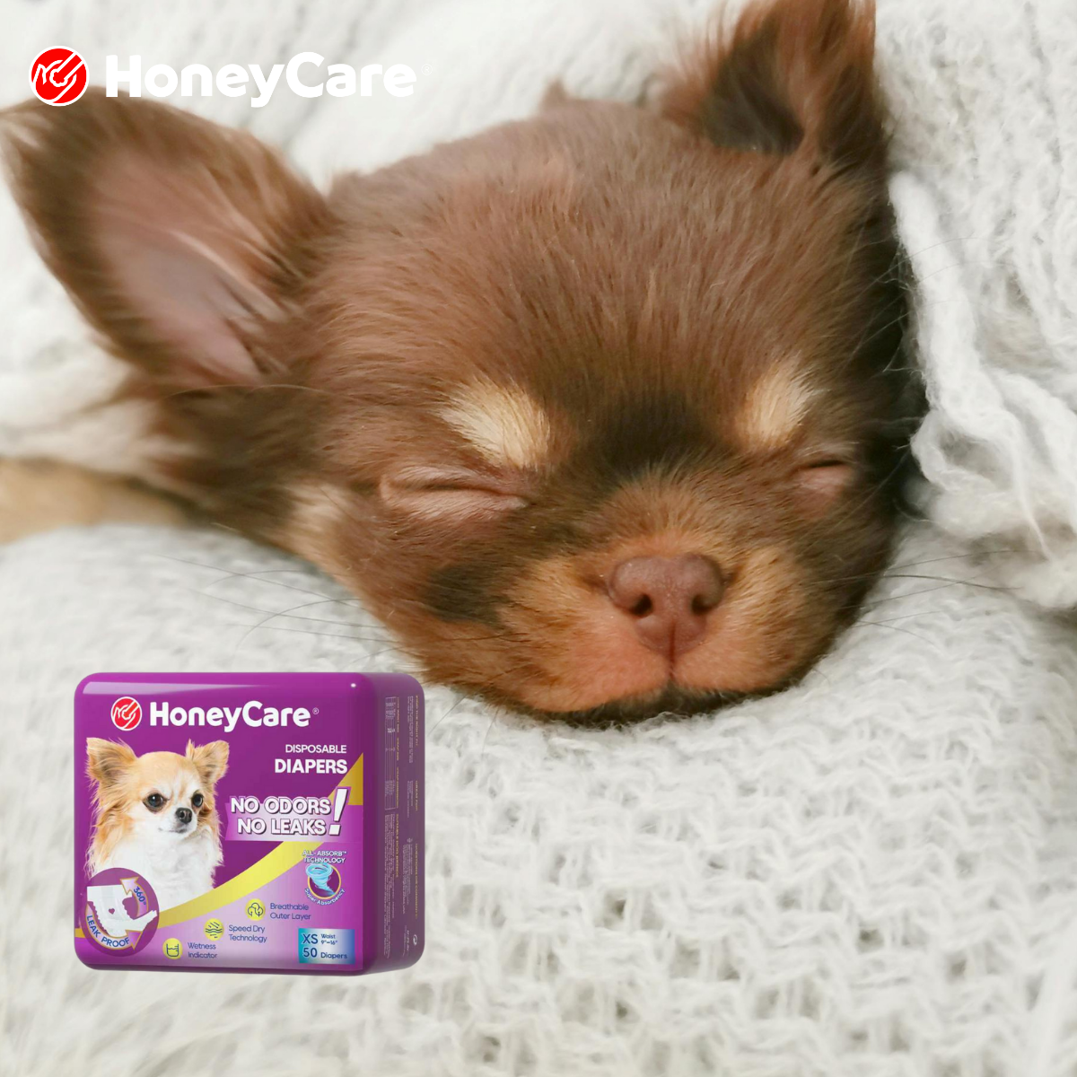 Should I Spay My Female Dog? Timing, Benefits, Risks & FAQs