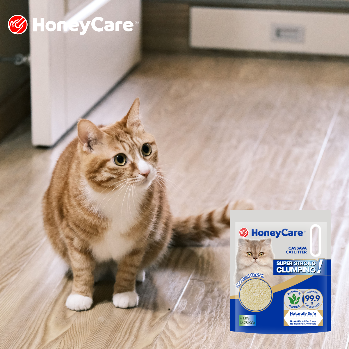 Best Low Dust Cat Litter Features for Indoor Cats