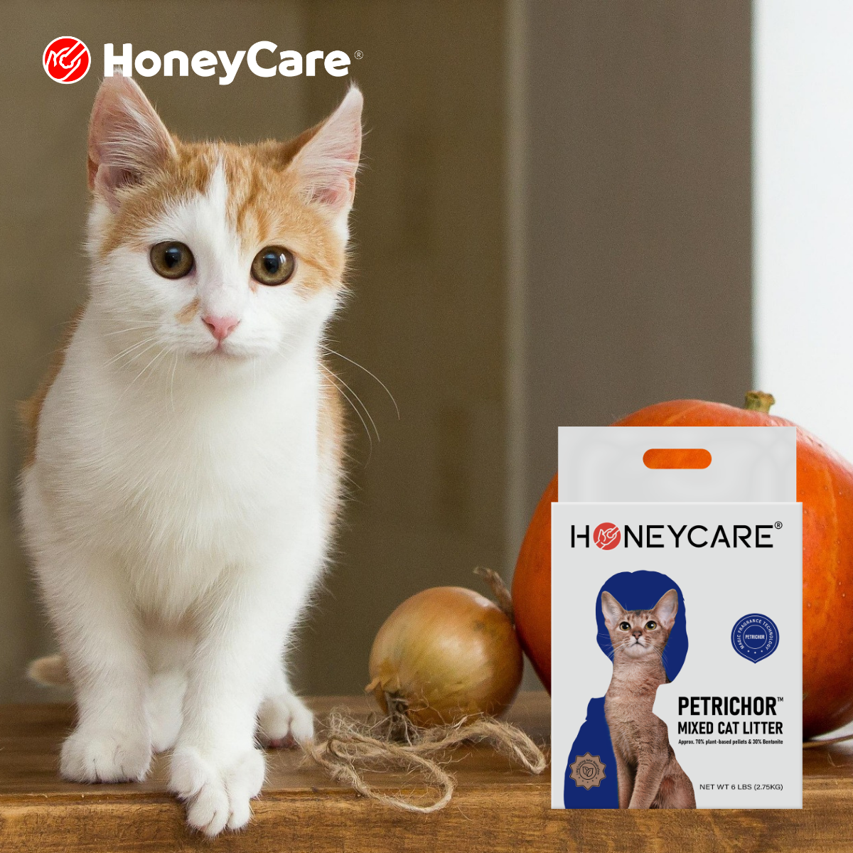 Baking Soda in Cat Litter: Safe Odor Fix?