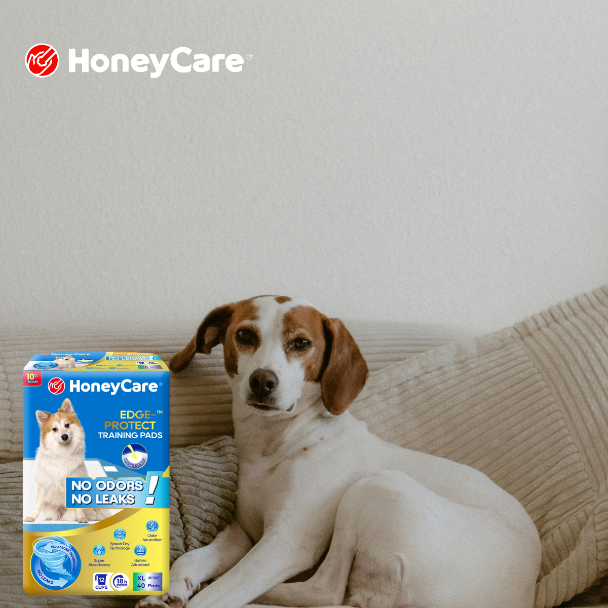 How Long Pee Pad Training Takes: Brilliant Timeline Fixes