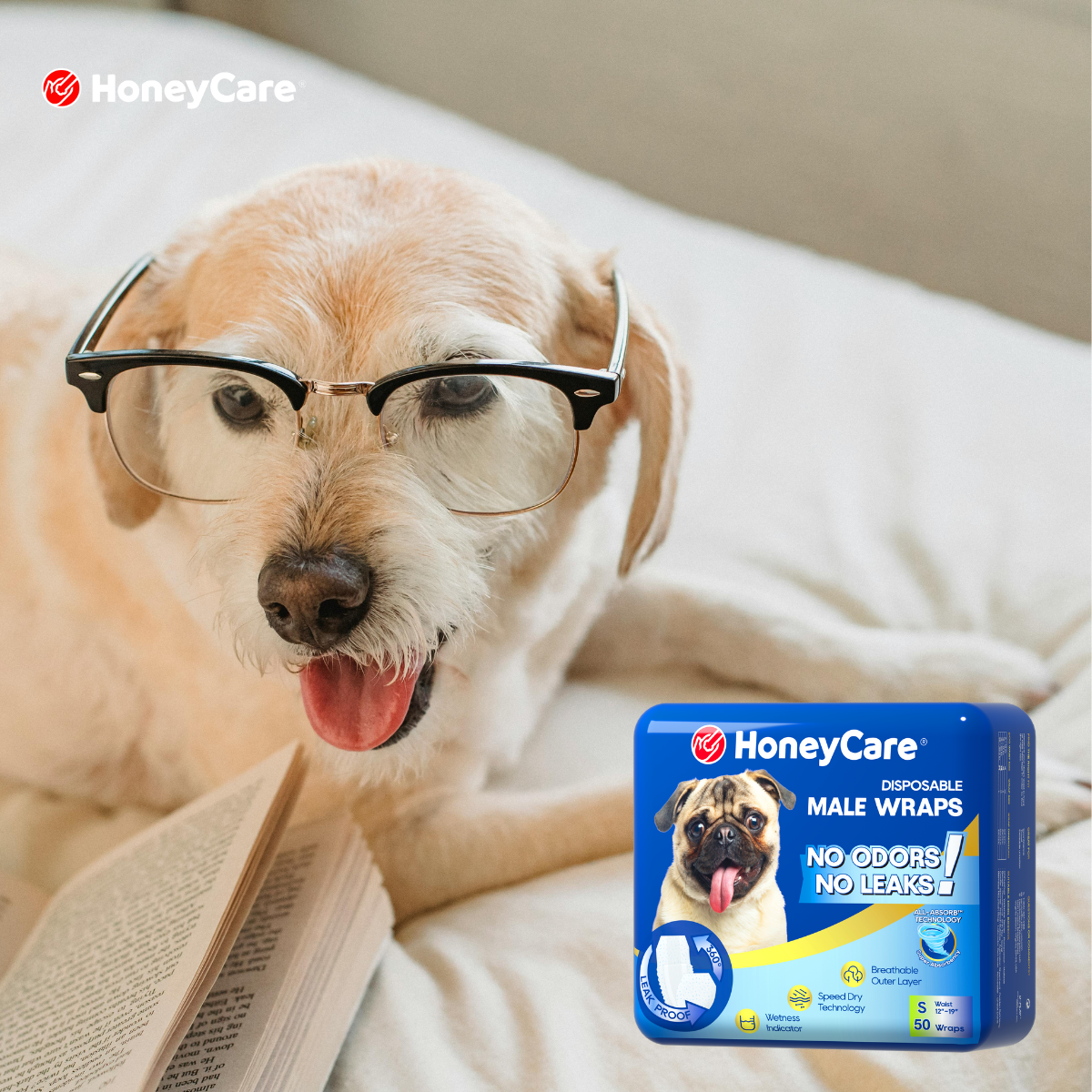 8-Hour Overnight Protection for Dogs: Why HoneyCare Outperforms the Rest