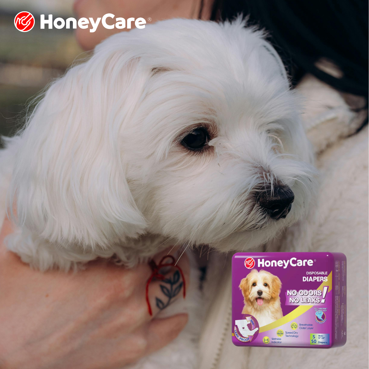 Heavy Incontinence Dog Diapers: A Practical Guide for Leaks, Odor, and Skin Health