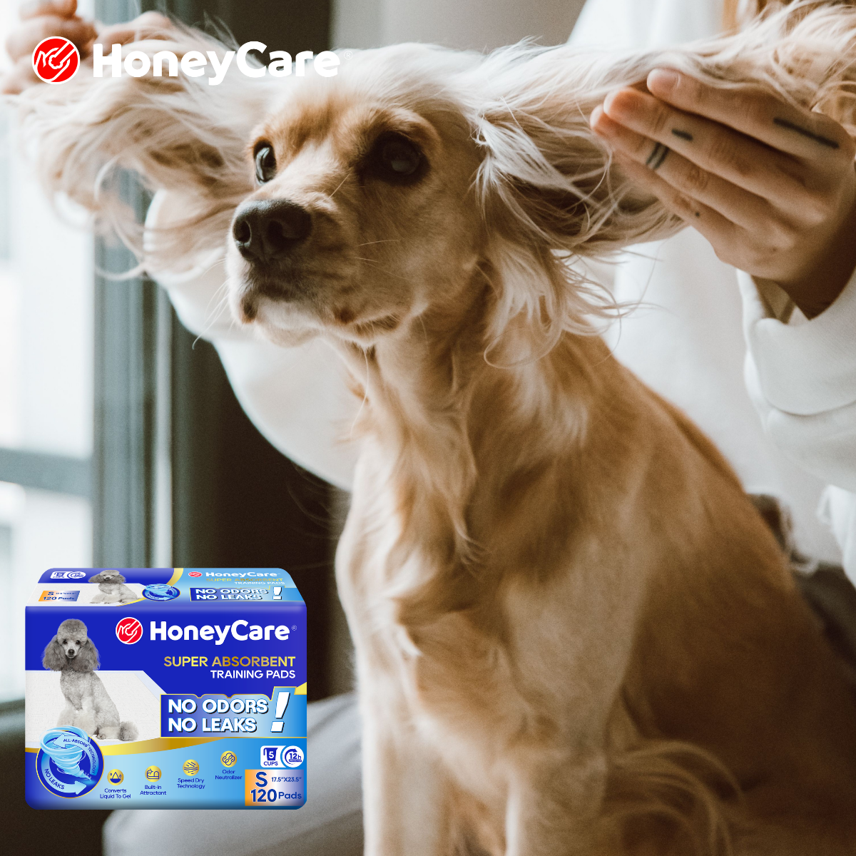 Dog Pee Pad Absorption Layers Explained