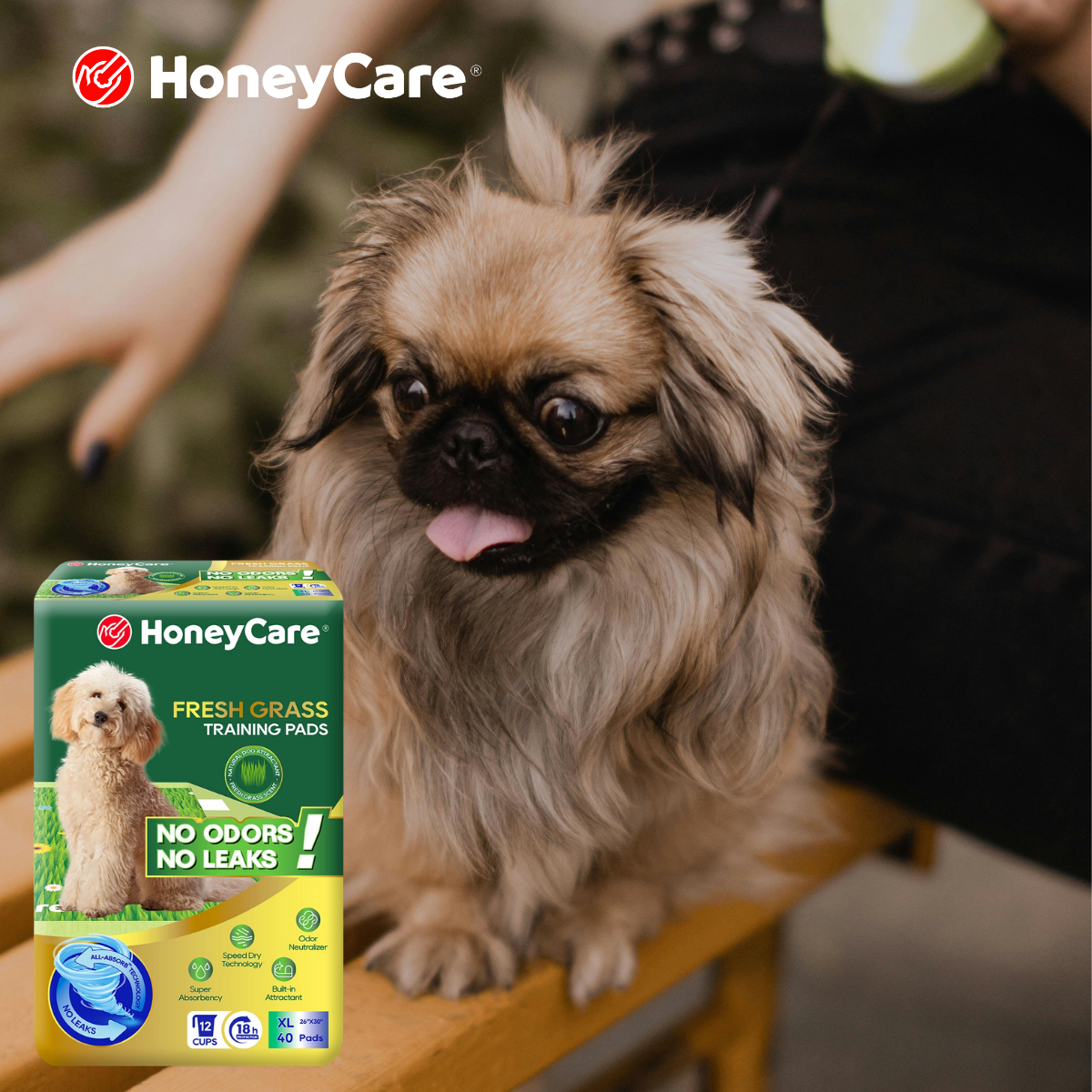 Pee Pads for Small Dogs: Brilliant Fixes to Stop Messes