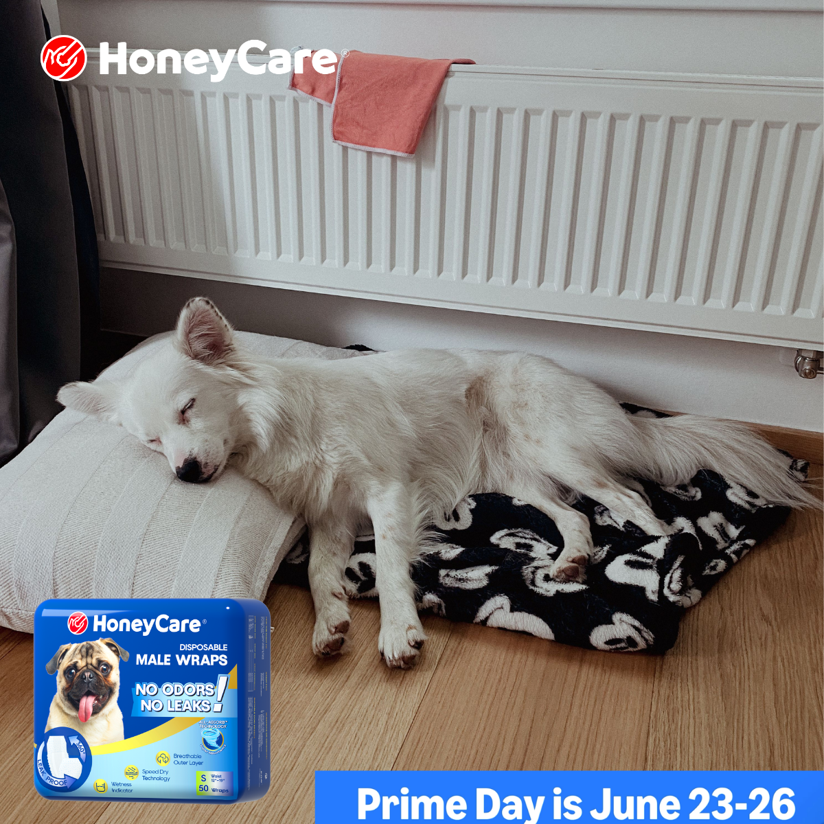 Dog Diaper Leaking? Proven Easy Fixes That Work