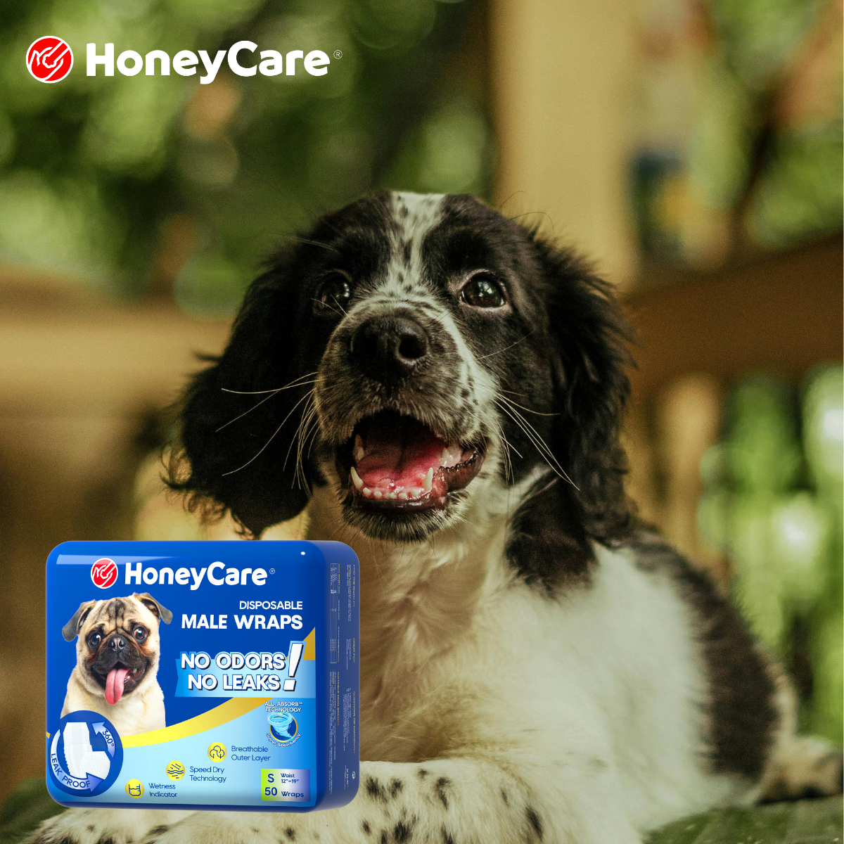 How Dog Diapers Reduce Stress During Heat