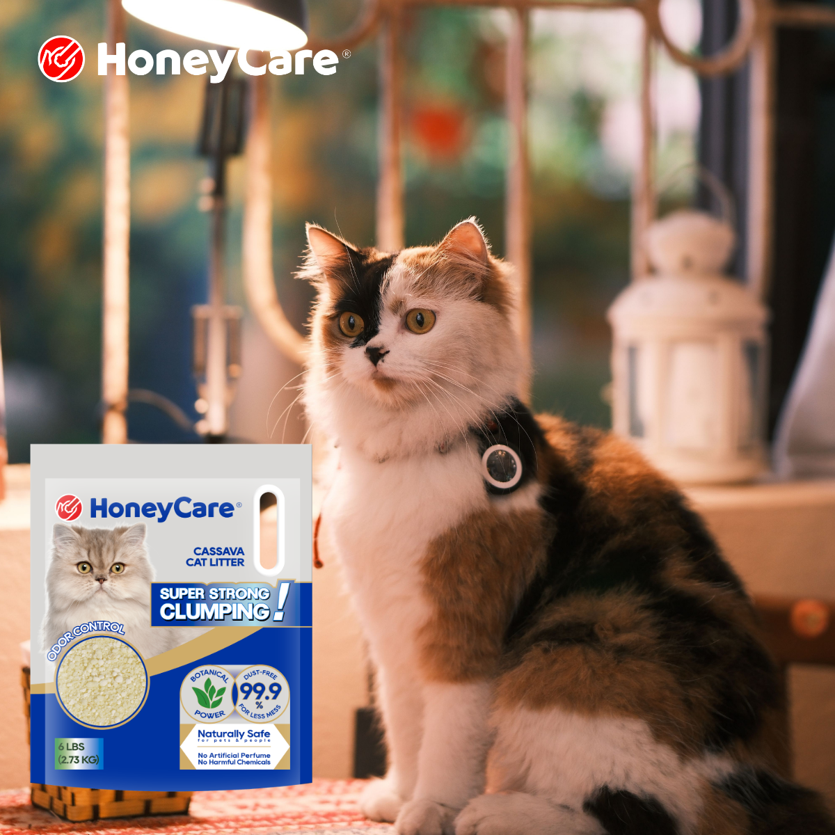 Low Dust vs Dust-Free Cat Litter: Is There a Difference?