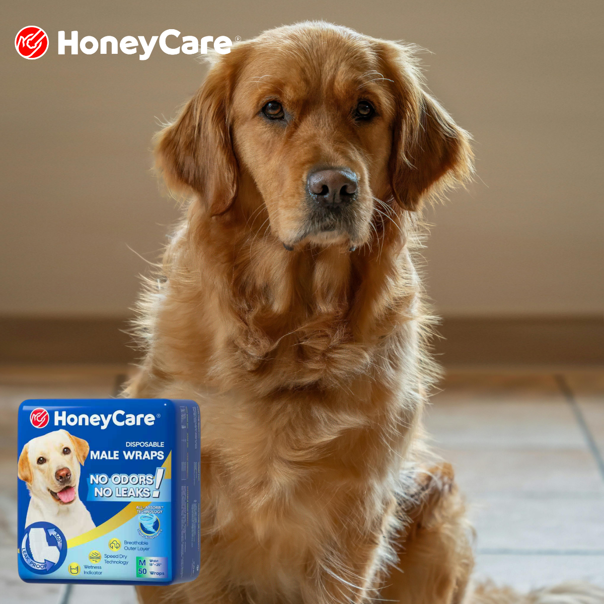 Overnight Dog Incontinence Protection: Stop Agonizing Rash