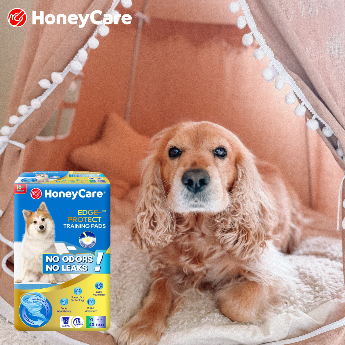 Puppy Pee Pad Training at Night: Easy Sleep Guide