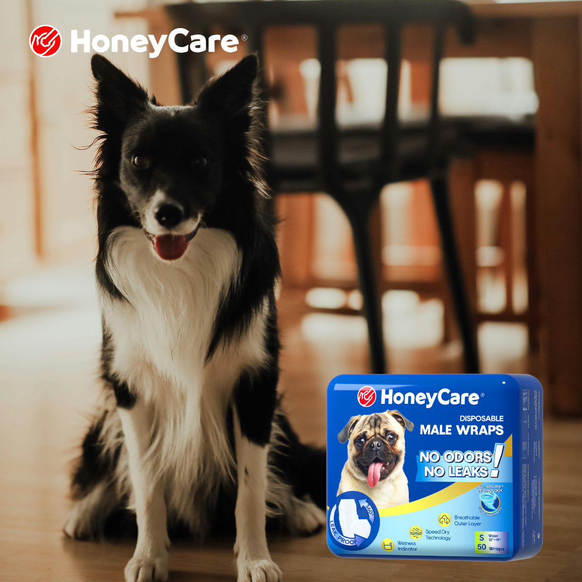 Heat Season Starter Kit for Pet Parents