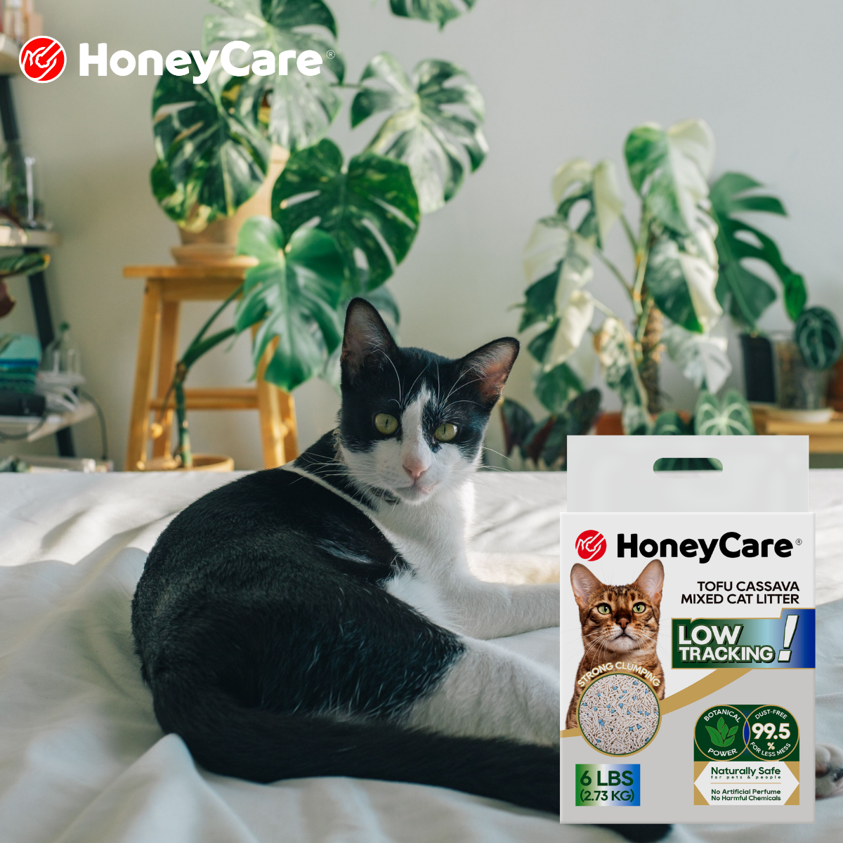 Best Low Tracking Cat Litter Features for Cleaner Floors