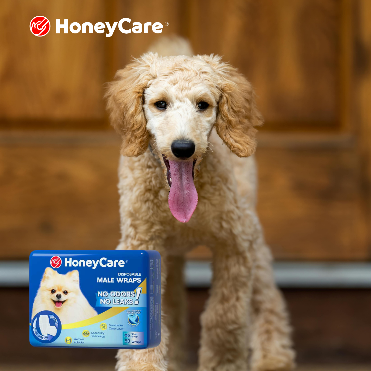 Dog Diapers for UTI Recovery: 7 Powerful Healing Tips