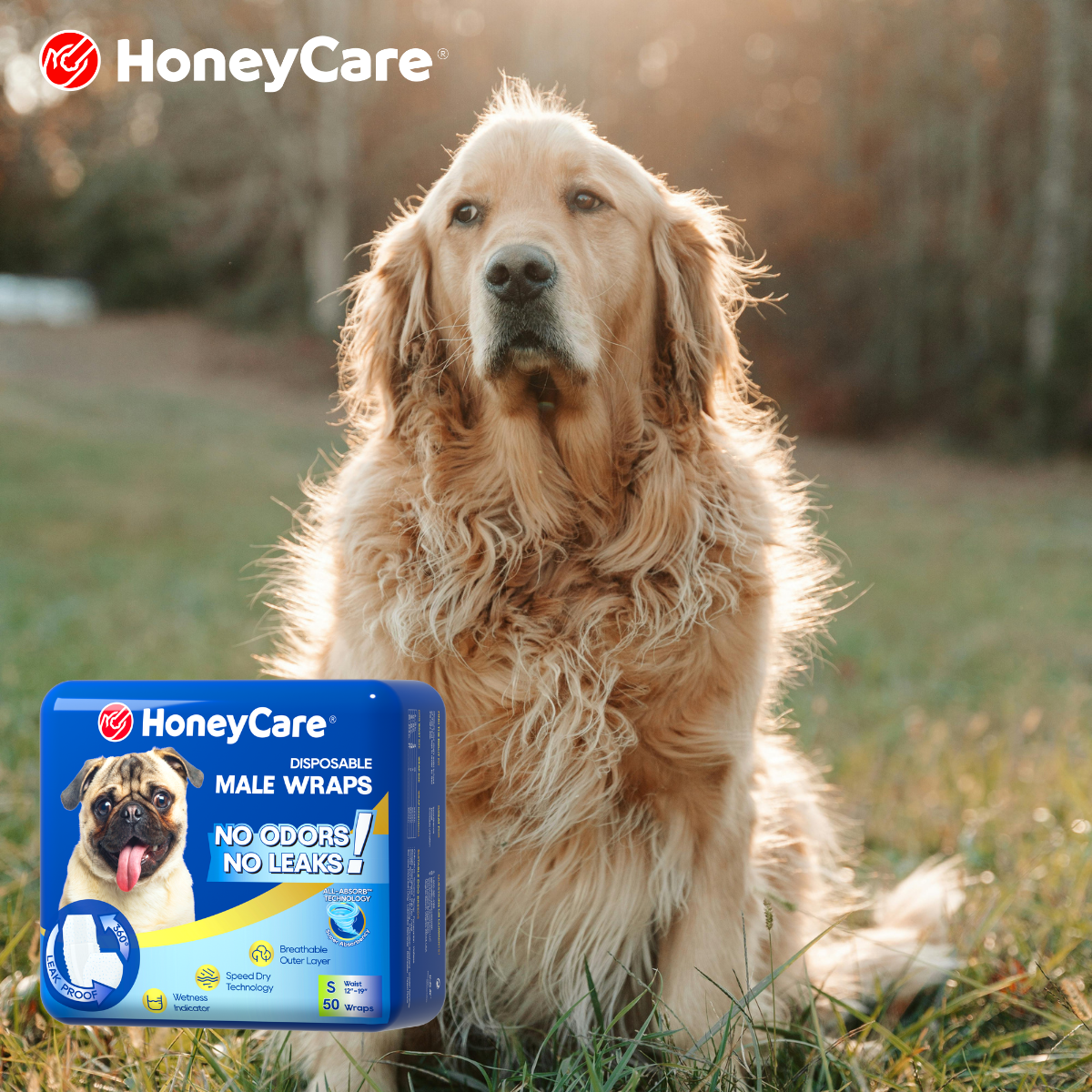 Dog Fecal Incontinence Treatment: Proven Relief Solutions