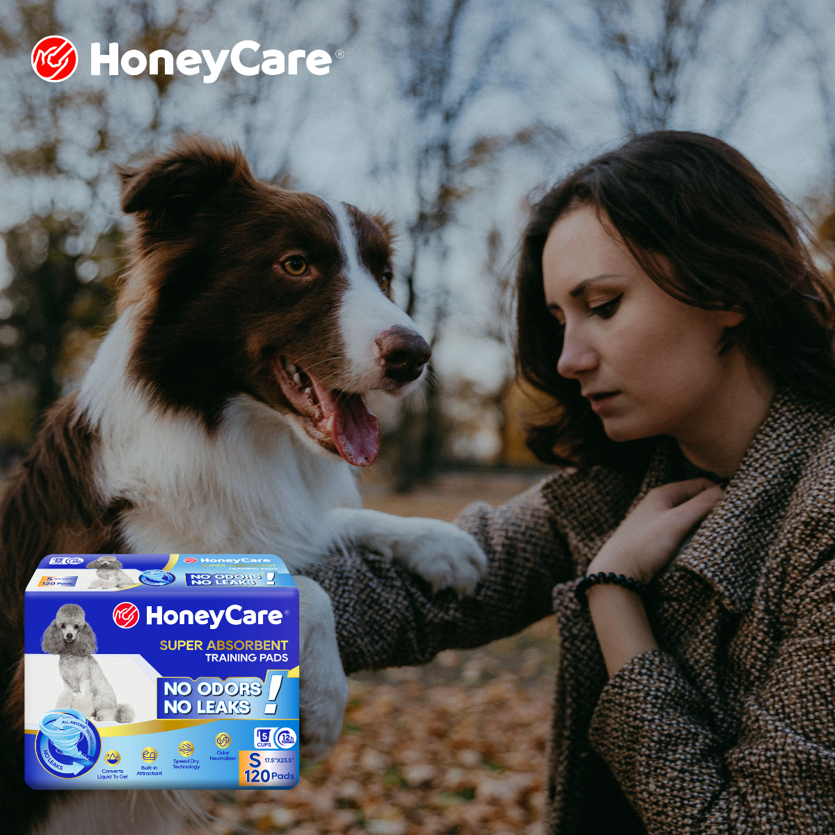 Dog Pee Pad Edge Guard: Does It Prevent Runoff?