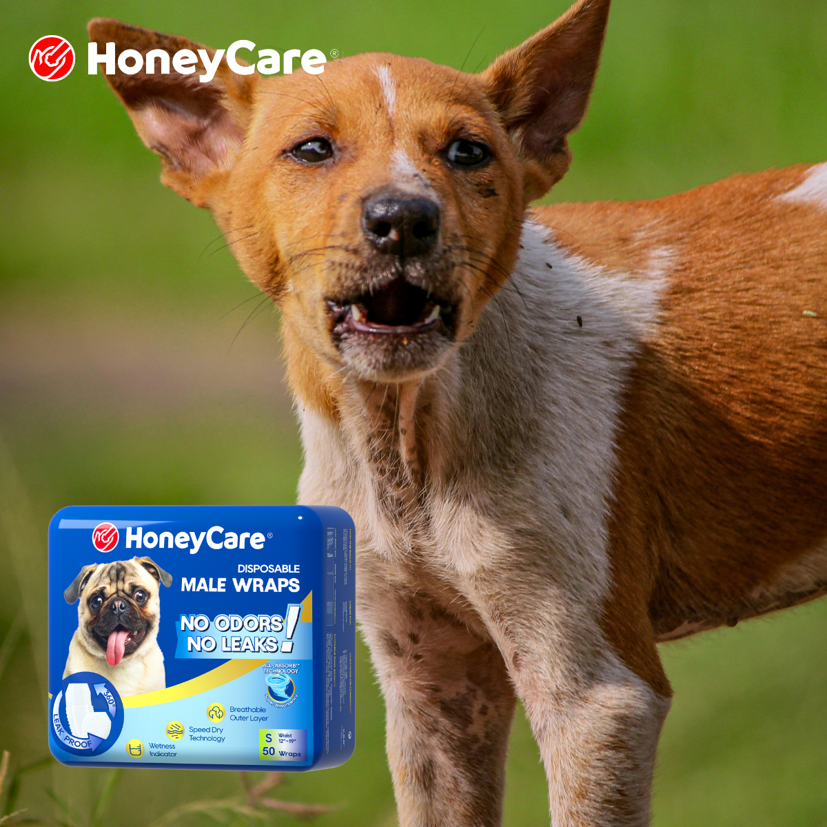 Real Cost of Dog Diapers per Month: 3 Savings Secrets