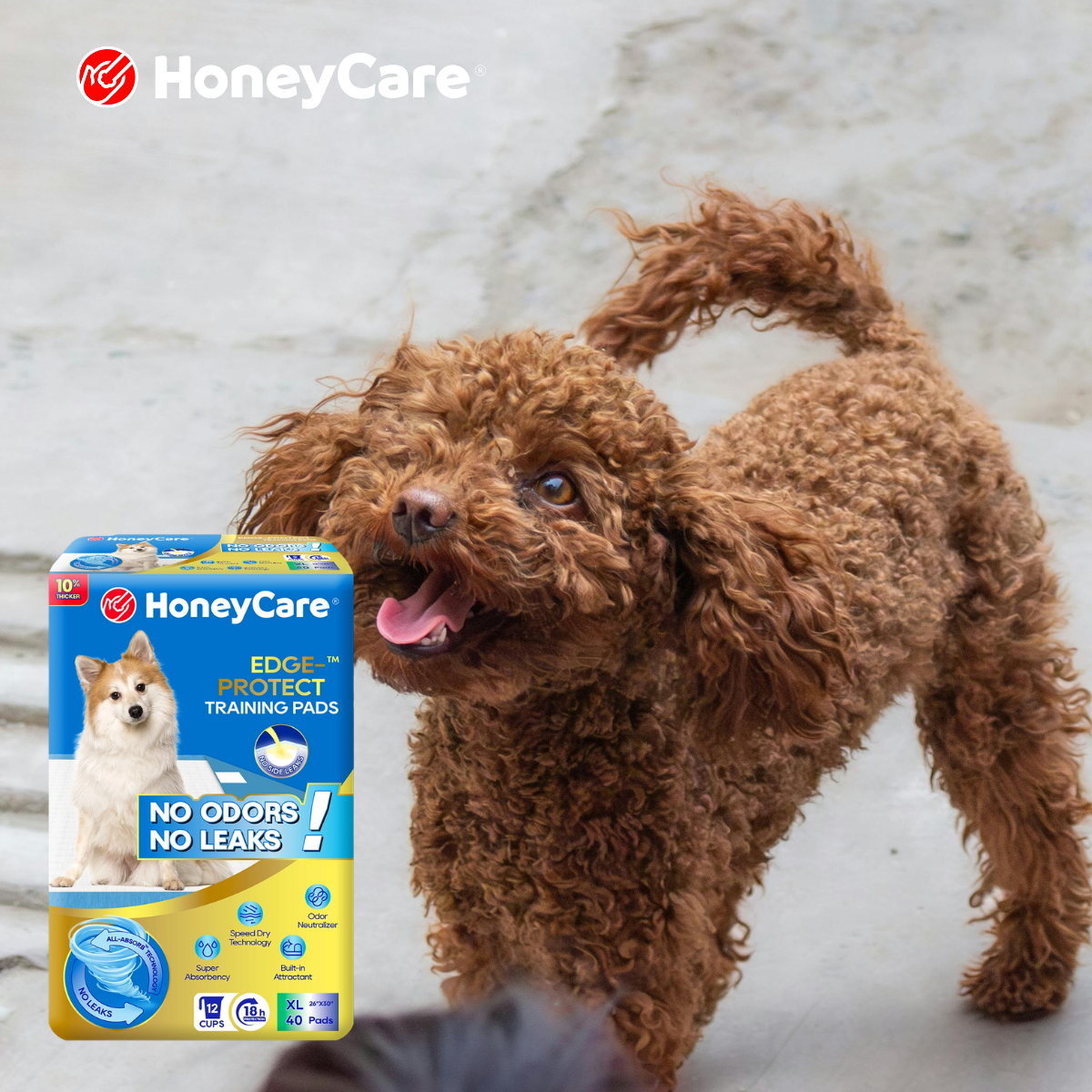 Dog Pee Pads After Surgery: Ultimate Stress-Free Healing