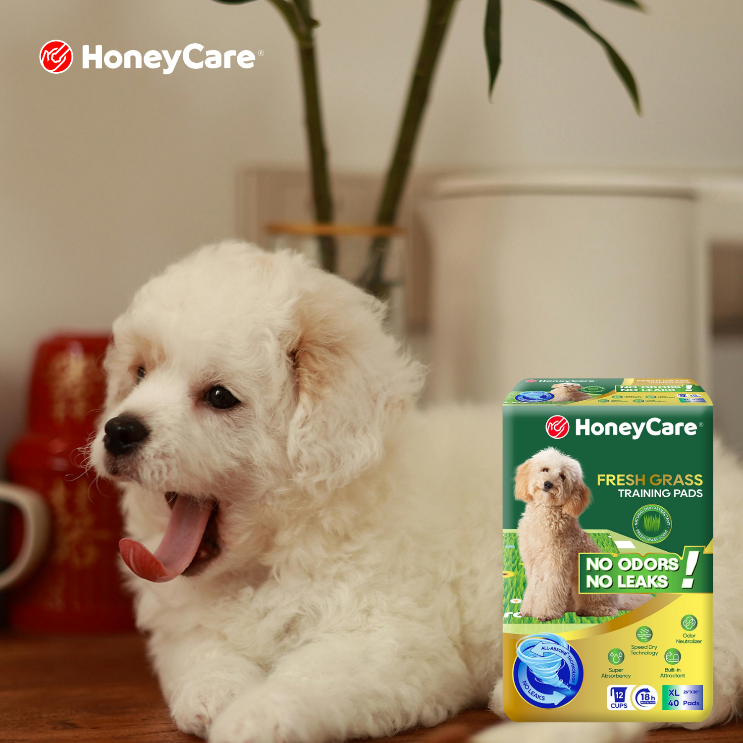 Dog Won't Use Pee Pad in New Spot? 7 Proven Fixes