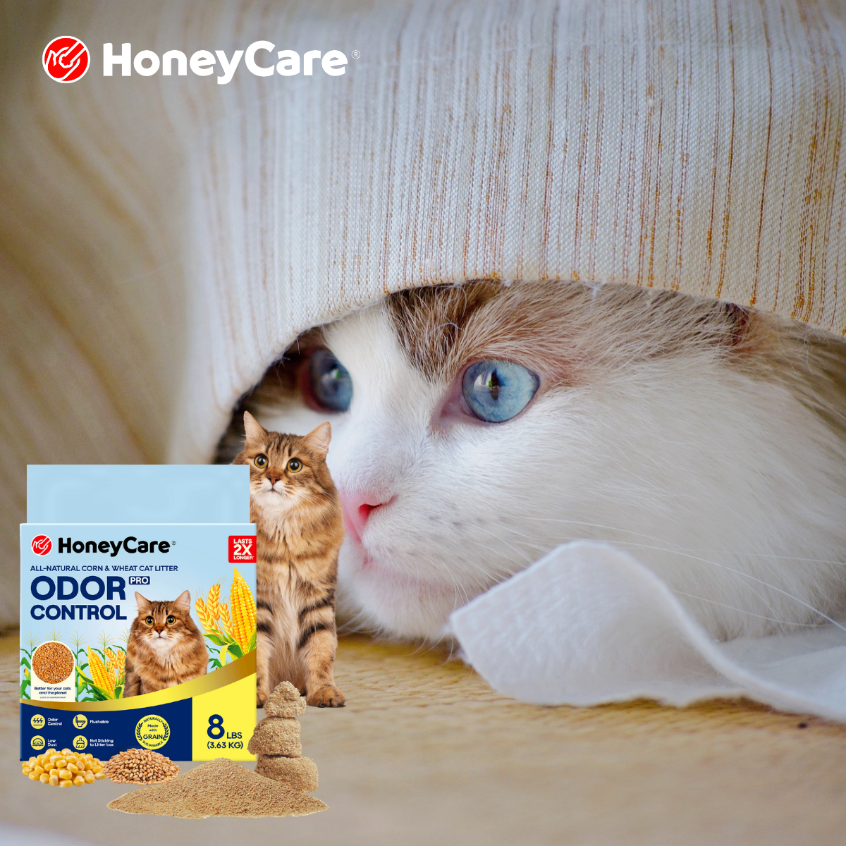 Top Entry Litter Box Pros and Cons