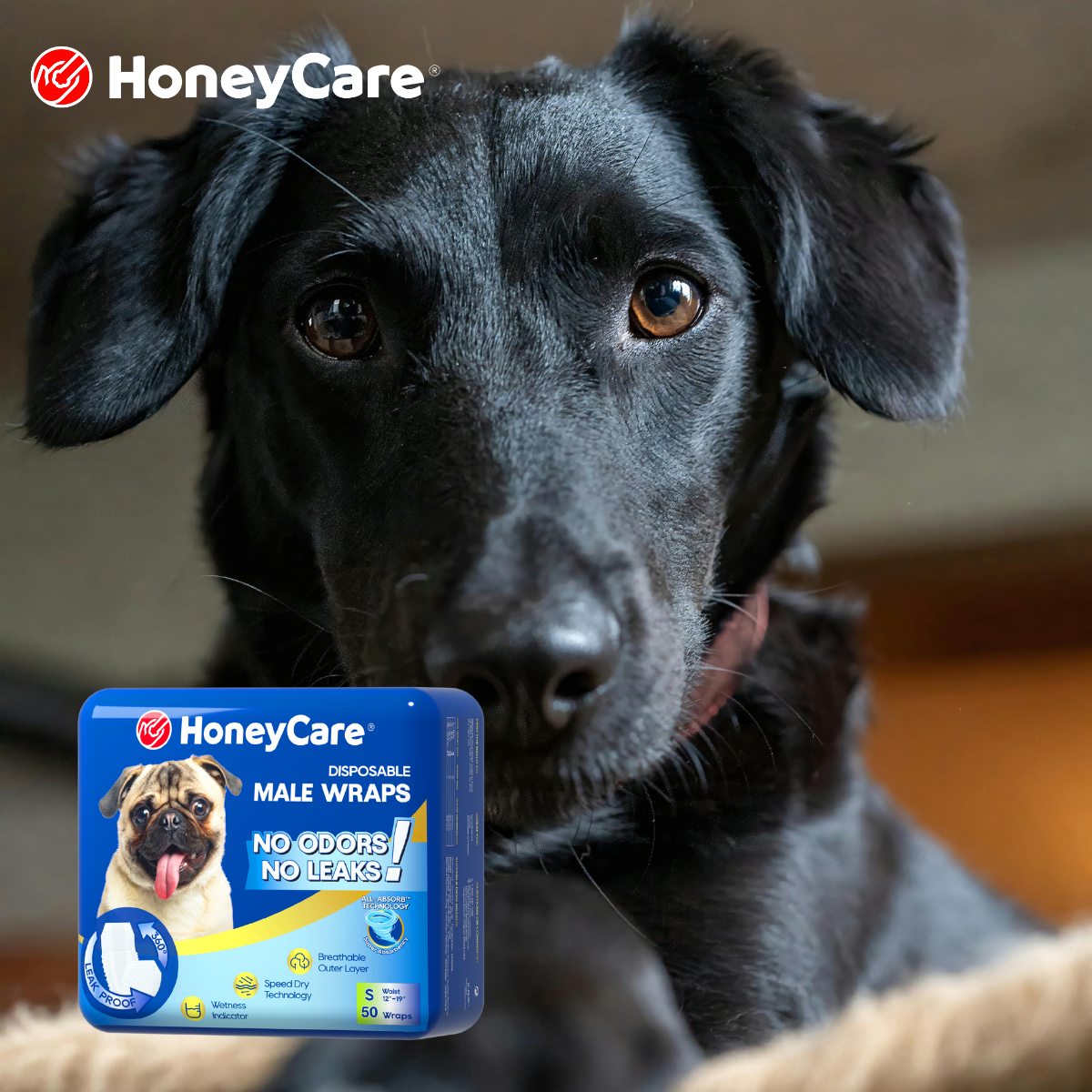 How to Clean Dog Poop Off Fur: 7 Proven, Stress-Free Tips