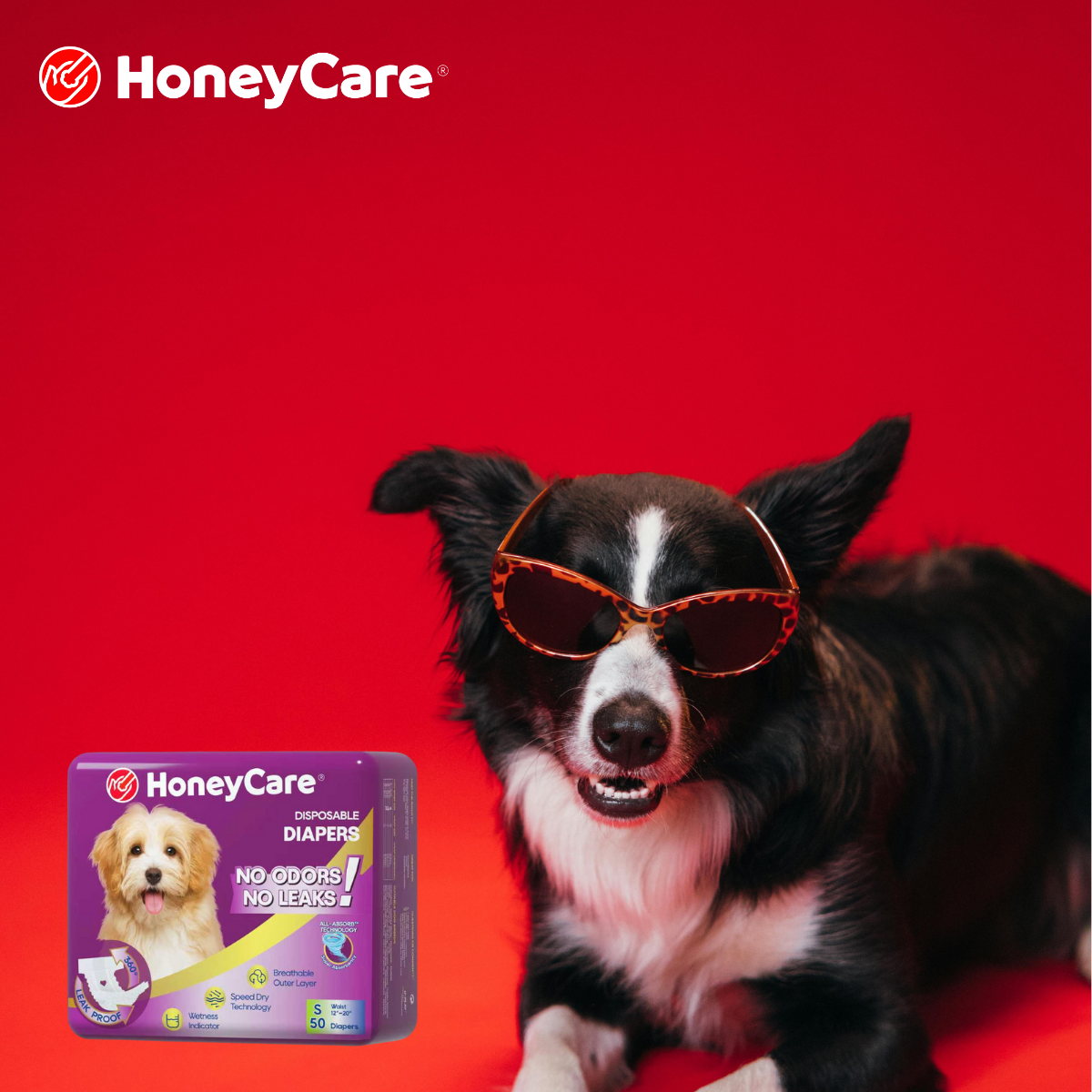 Menthol Dogs Heat: 8 Shocking Safety Truths for Owners