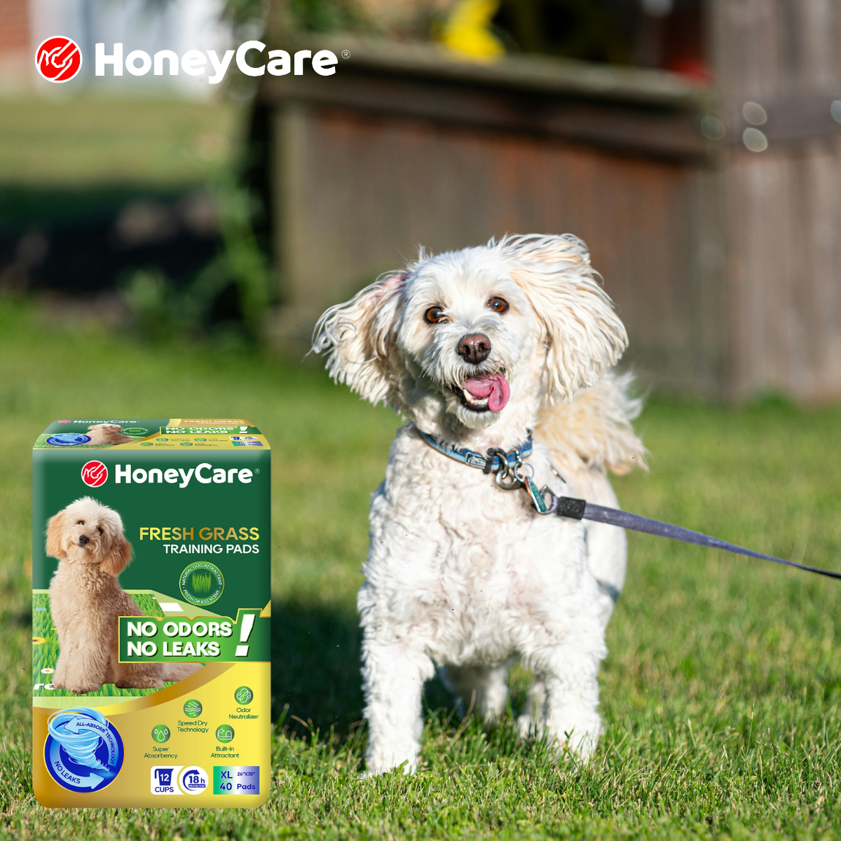 Dog Pee Pads Hotel Hacks: Proven Tips for a Perfect Trip