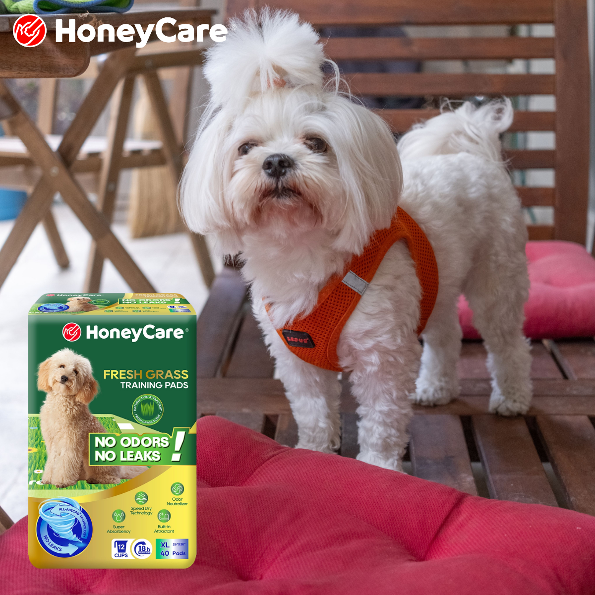 How Long Can Dog Wear Diaper? Safe Hours Guide
