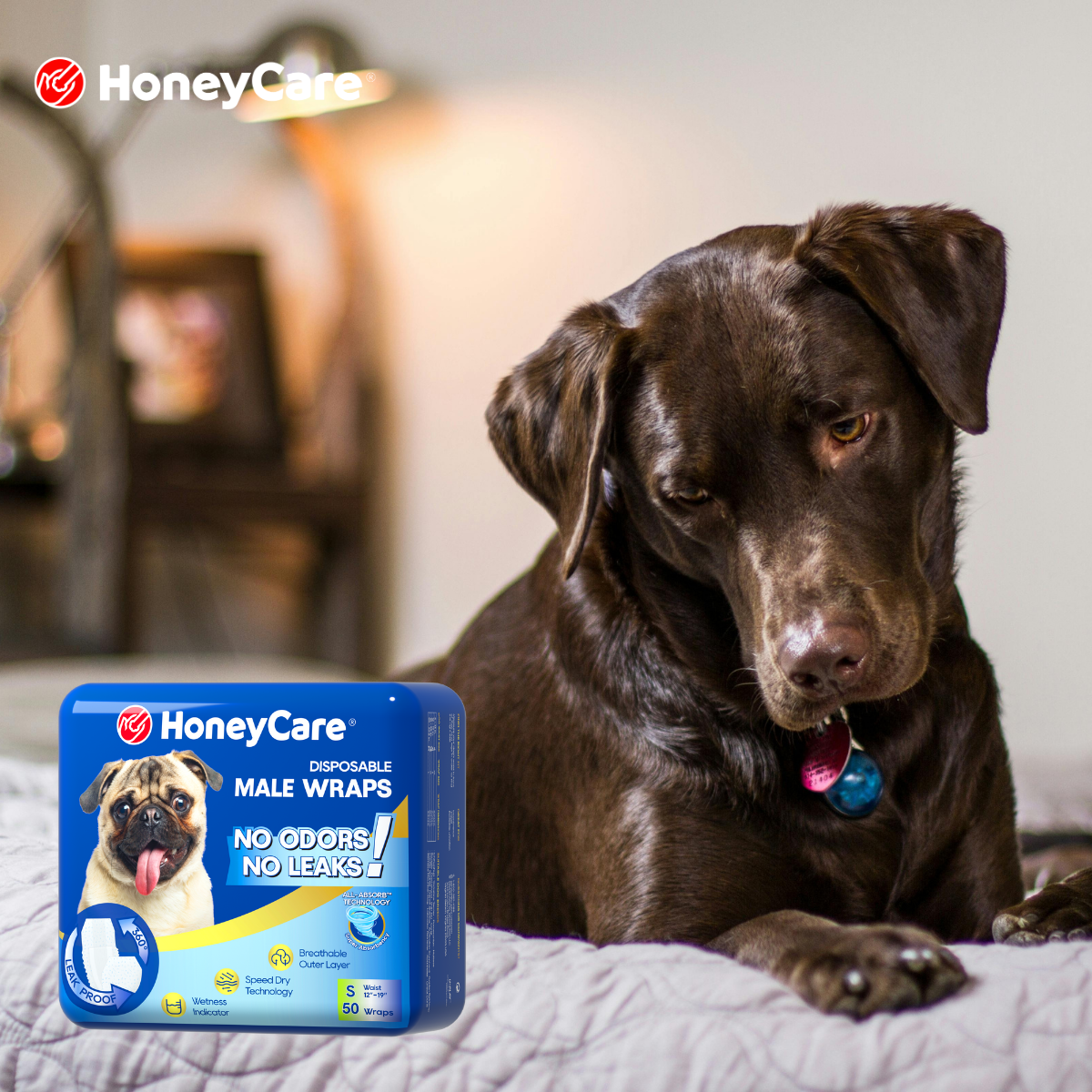 The Fluff Factor: A Guide to Using Dog Wraps for Long Hair