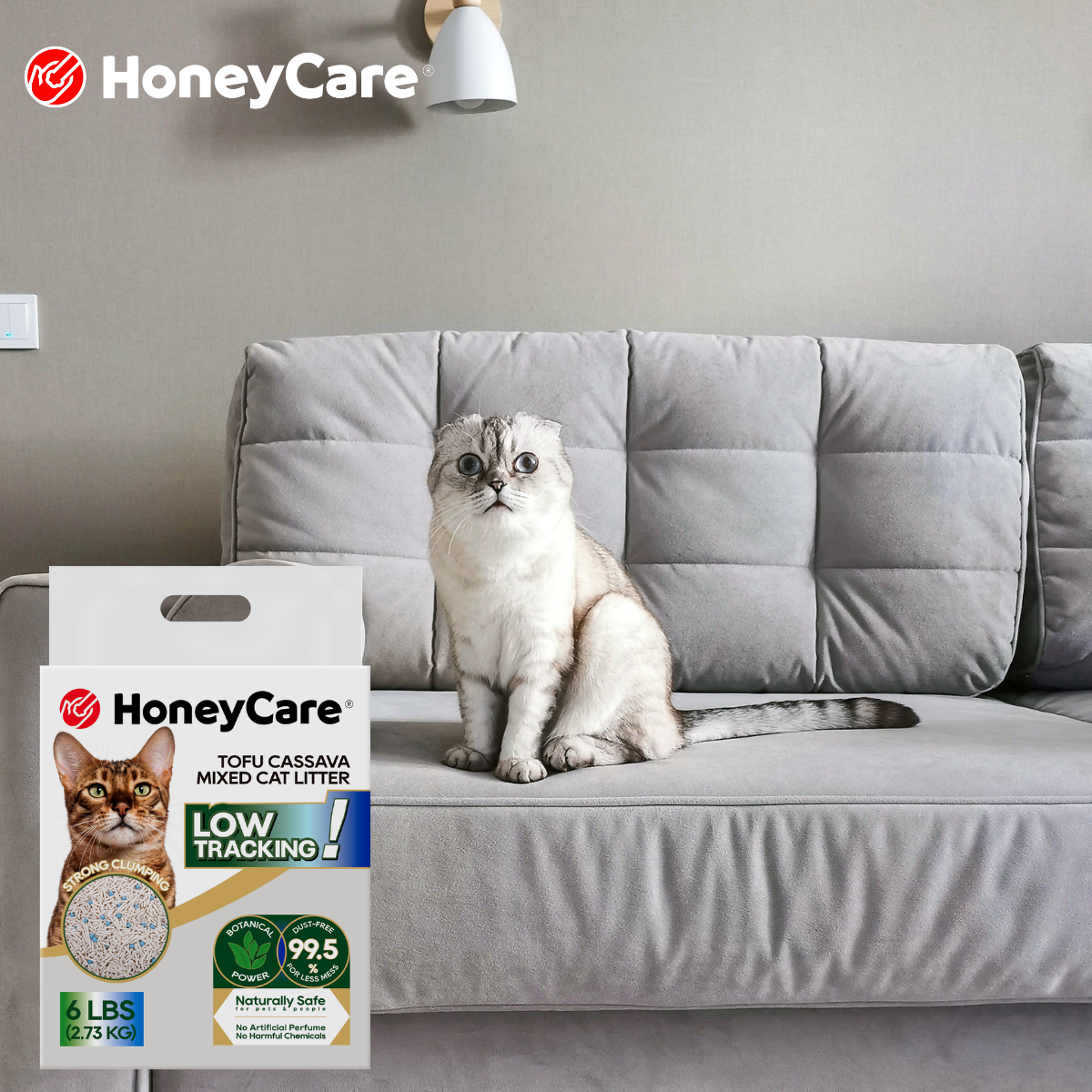 Best Plant-Based Cat Litter Features to Look For