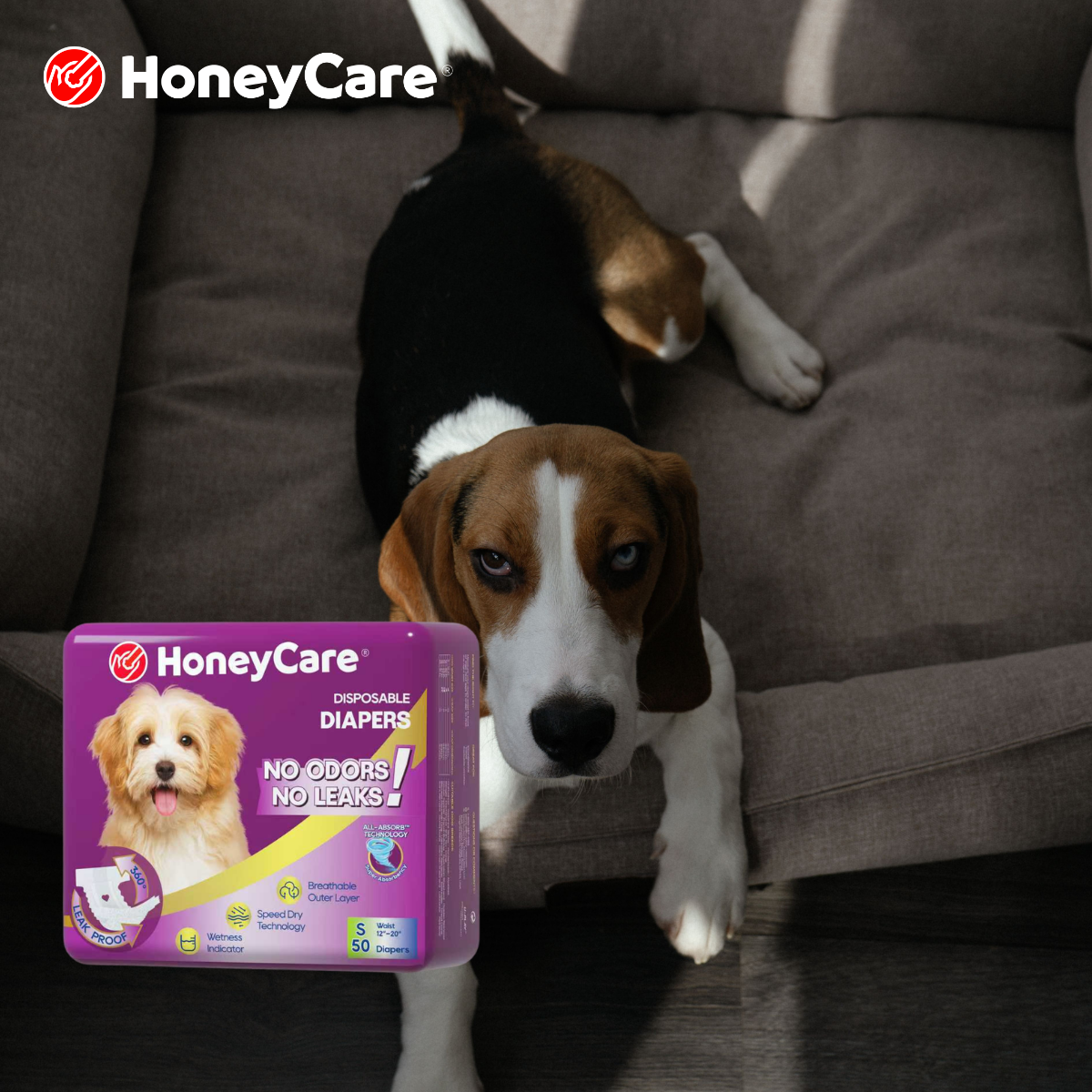 National Dog Week: A 7-Day Clean Home Reset
