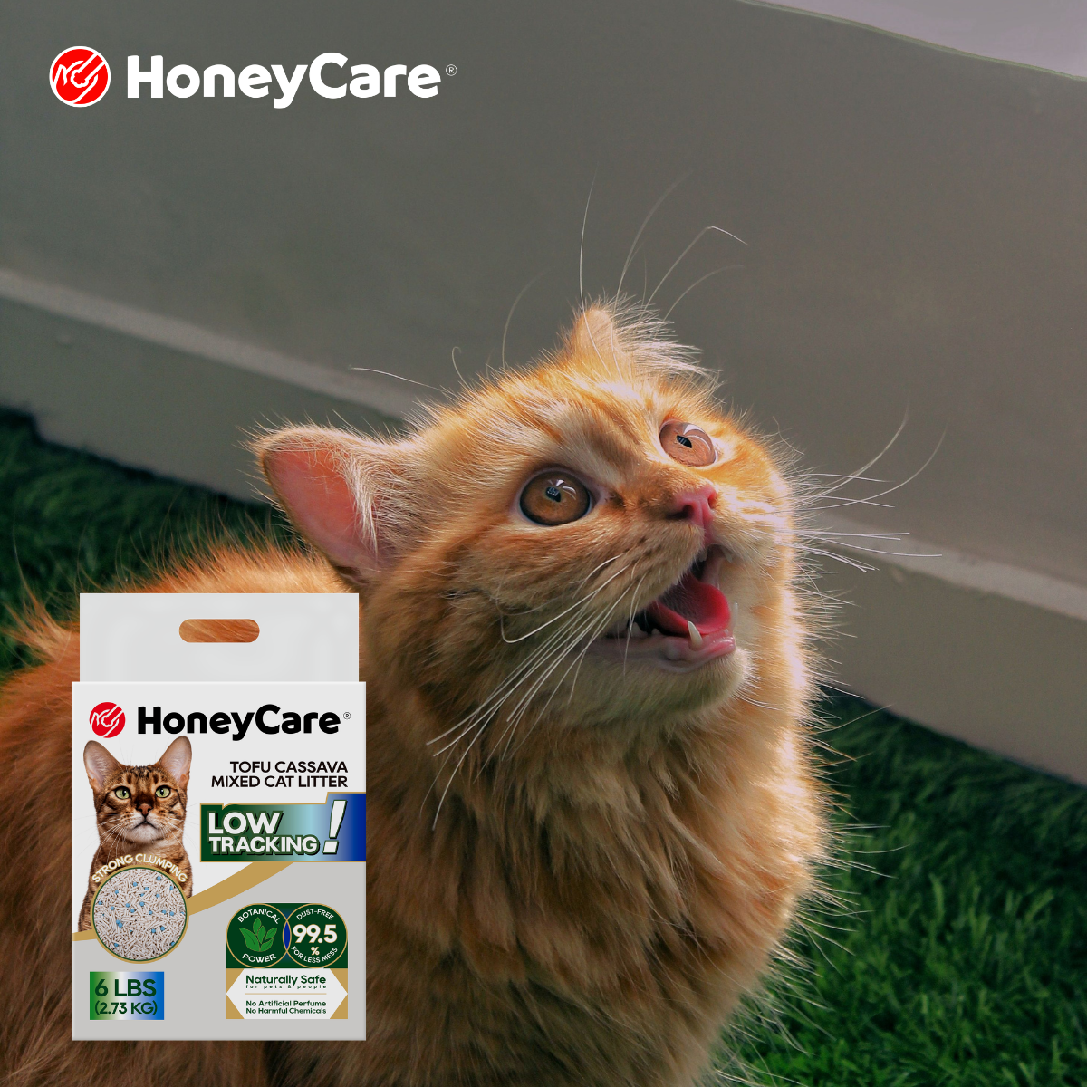 Why Cat Litter Sticks to the Box and How to Prevent It