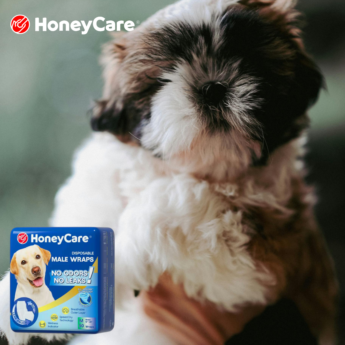 First Heat Cycle Puppy: The Ultimate Stress-Free Guide