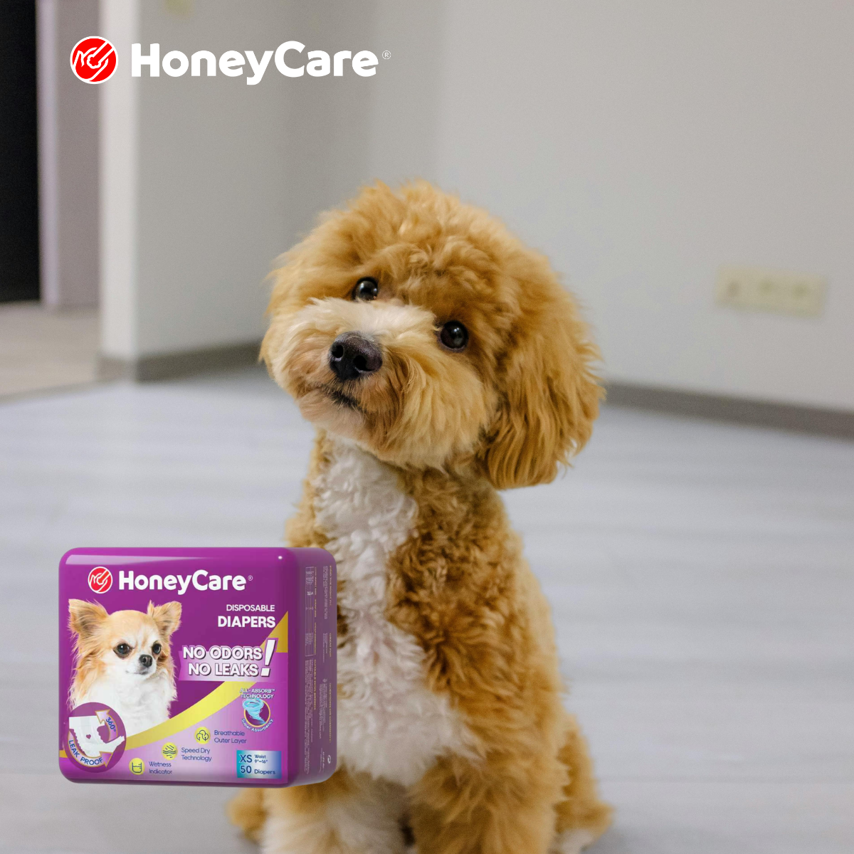 Dog Diaper Leaking at Tail Hole? Causes, Fixes & Prevention Tips