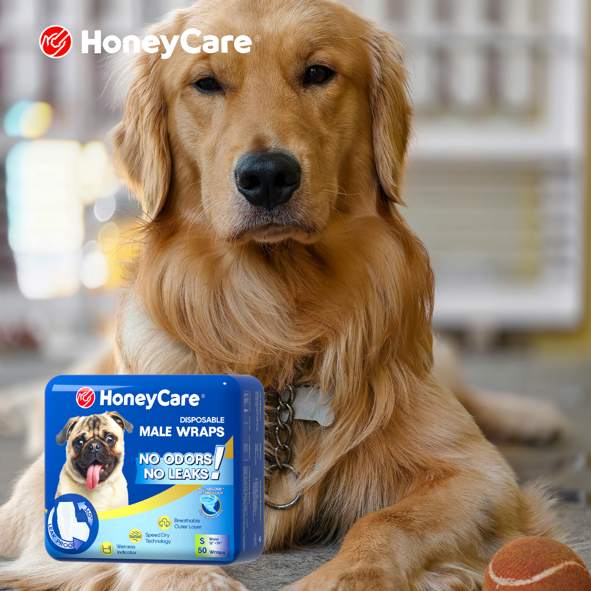 Dog Diaper Allergy: 7 Urgent Signs & Proven Solutions