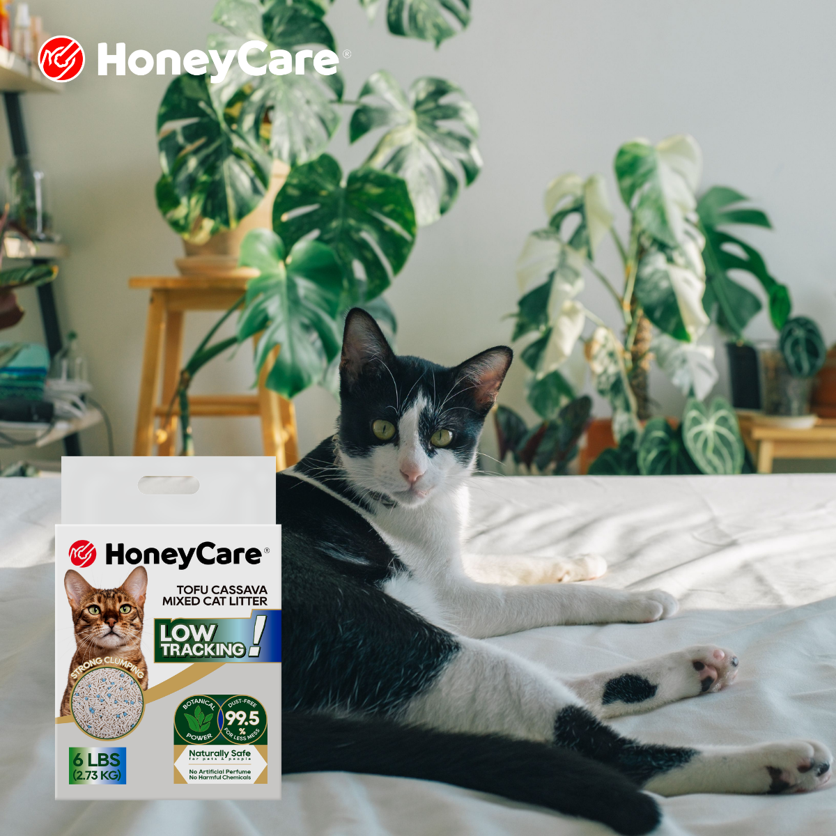 How to Switch Your Cat from Clay to Tofu Litter