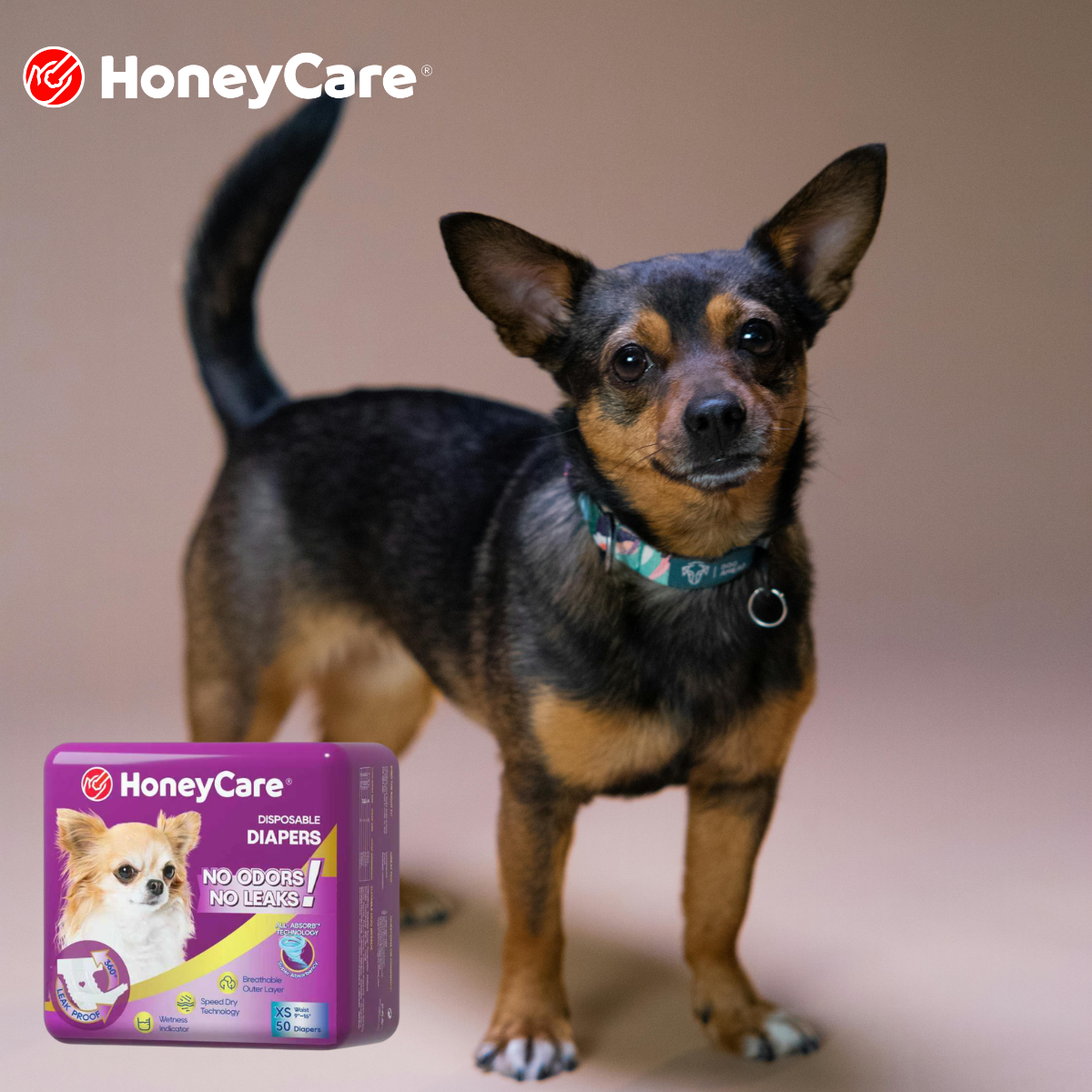 How Often to Change Dog Diaper: A Complete Guide by Scenario