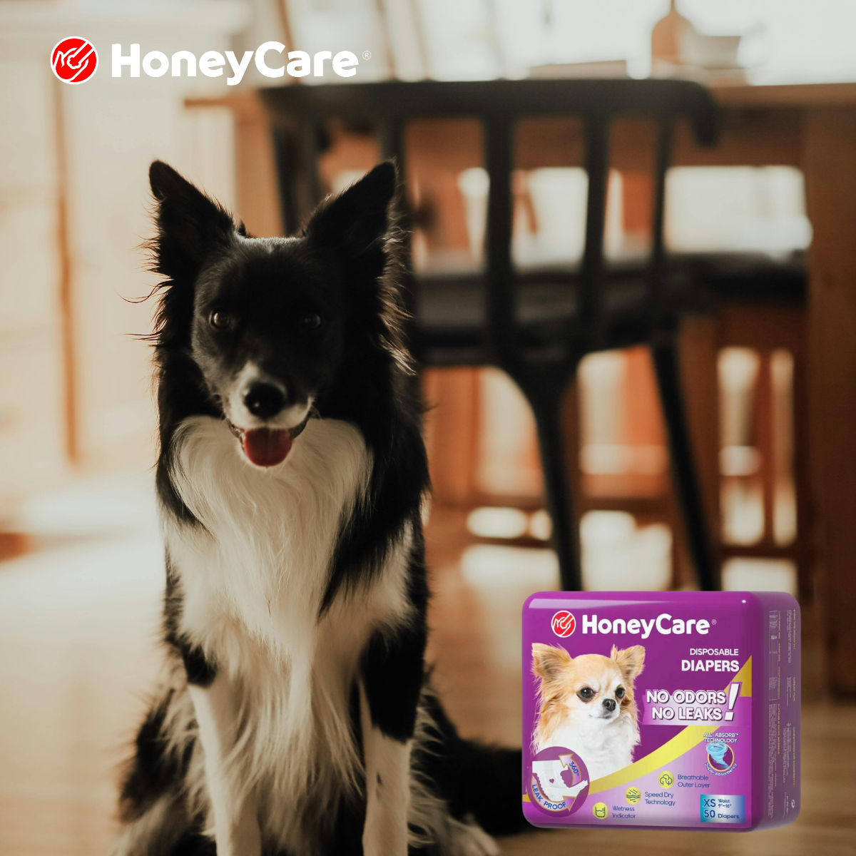 Stop the Leaks: The Ultimate Dog Diaper Sizing Guide (By Body Type, Not Just Weight)
