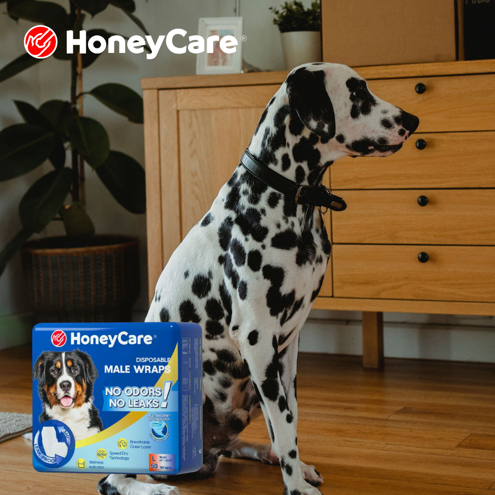 Best Dog Diapers Compared: HoneyCare vs Other Brands