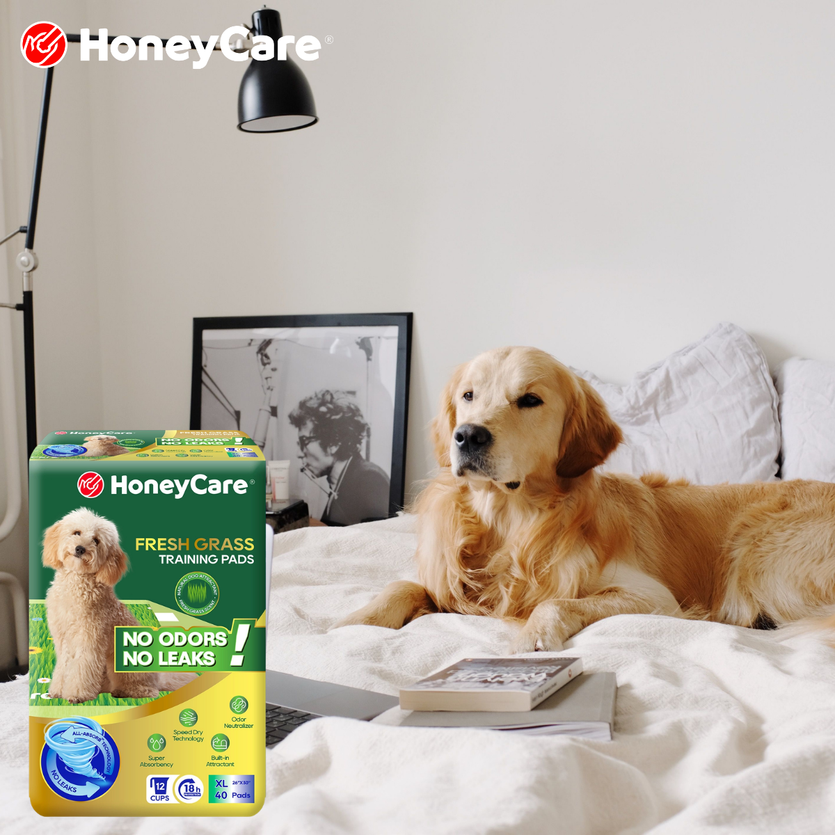 Dog Pee Pads After Surgery: Safe Comfort Guide