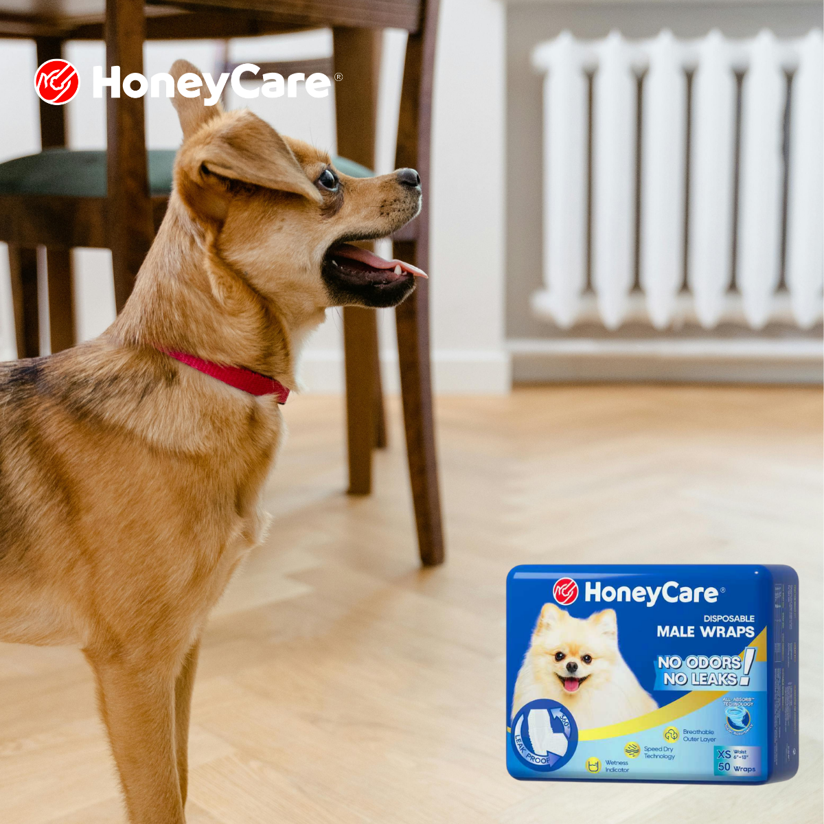 Do You Need a Pee Pad Holder? Honest Review