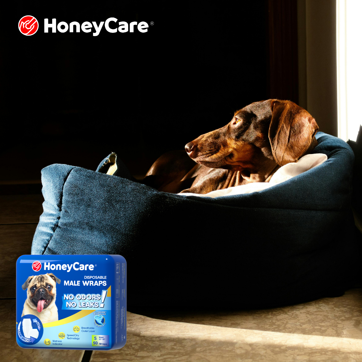 Dog Diaper Absorbency Test: 5 Shocking Truths About Leaks