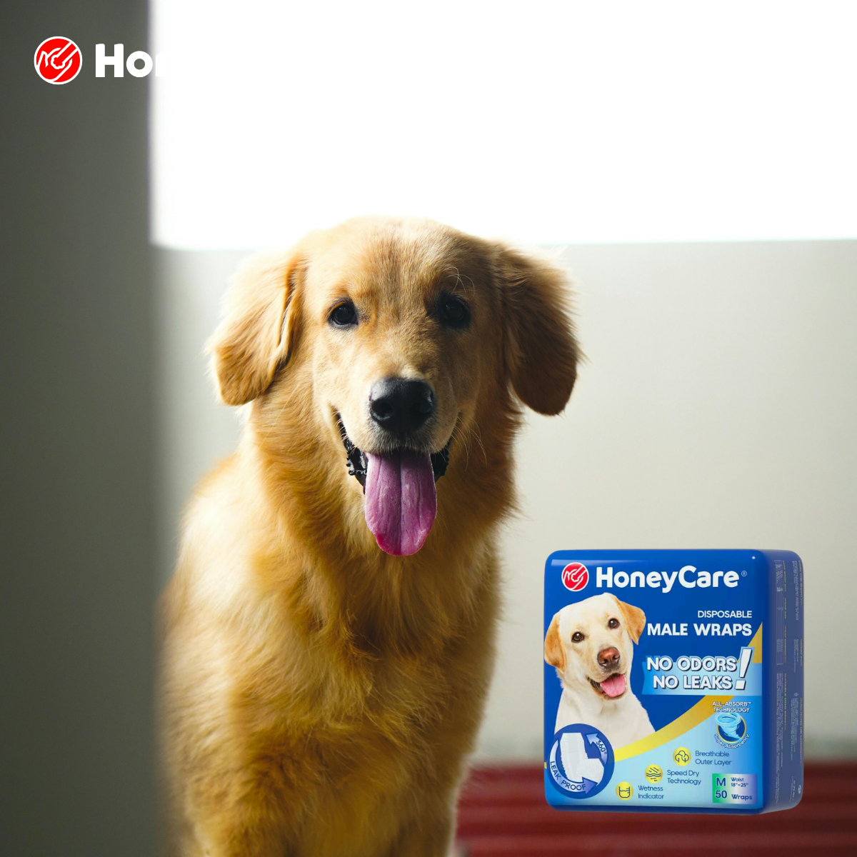 Breathable Dog Diapers: The Essential Secret to Stop Rashes