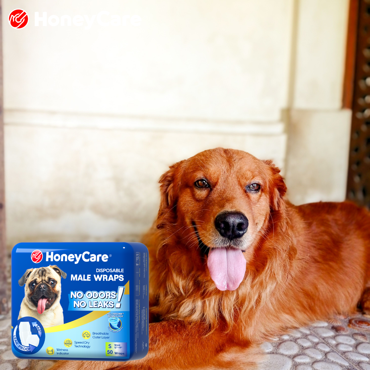 Dog Diaper Size Chart: How to Measure for the Perfect Fit