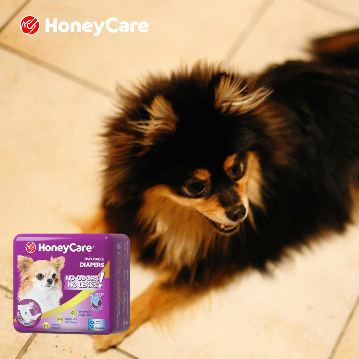 Dog Diapers Apartment Guide: 8 Lifesaving Situations