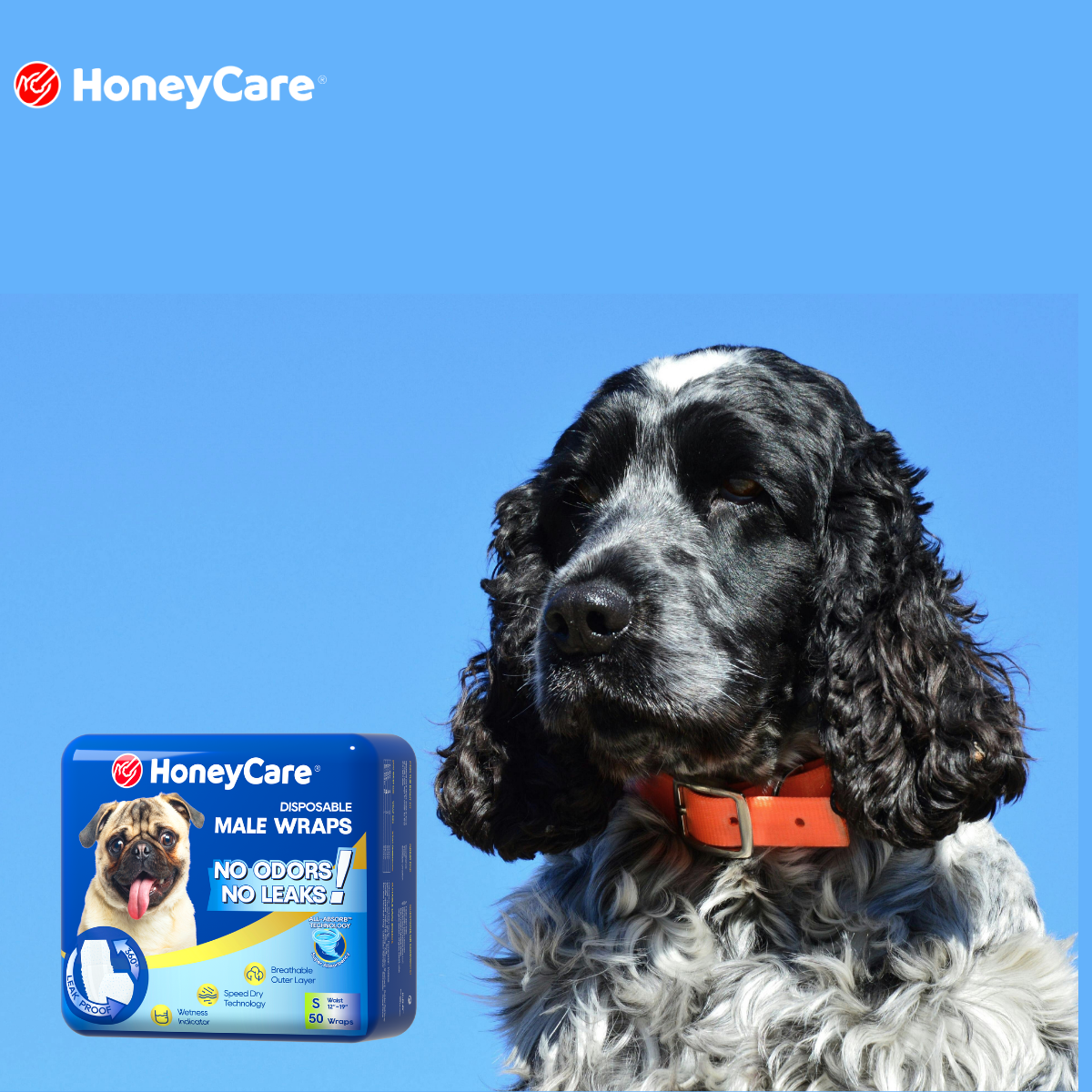 The 500ml Absorbency Test: How HoneyCare Gel Locks Away Liquid Instantly