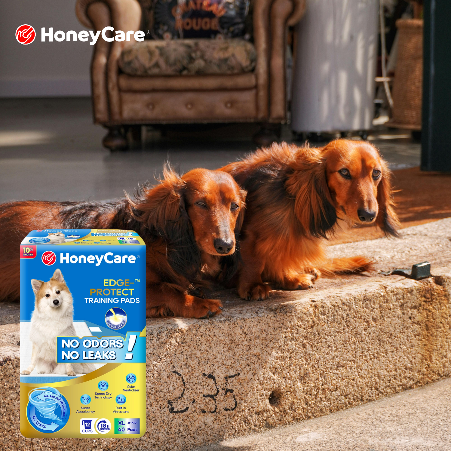 Pee Pad Attractant Spray: Brilliant Fixes to Train Your Dog