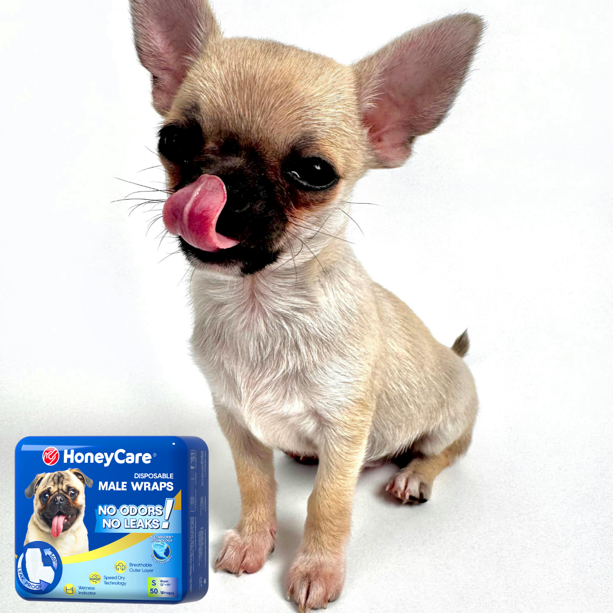 Female Dog Diaper Fit: The Ultimate Guide to Stop Leaks